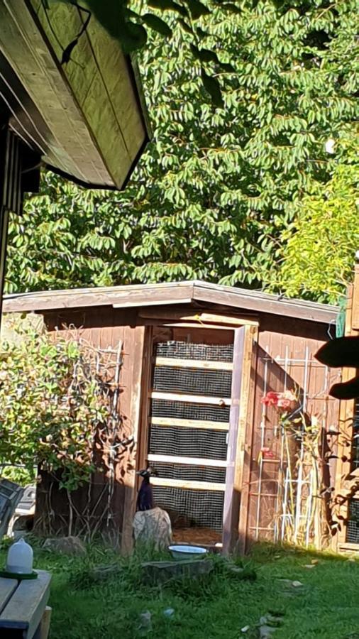 Ferienhaus Nr. 60 Im Ferienpark Am Twistesee Bad Arolsen Kültér fotó