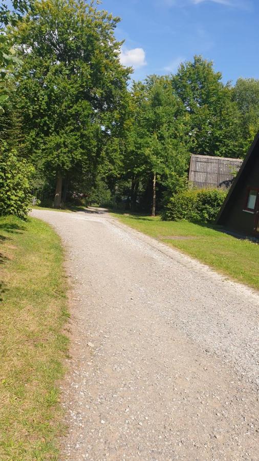 Ferienhaus Nr. 60 Im Ferienpark Am Twistesee Bad Arolsen Kültér fotó